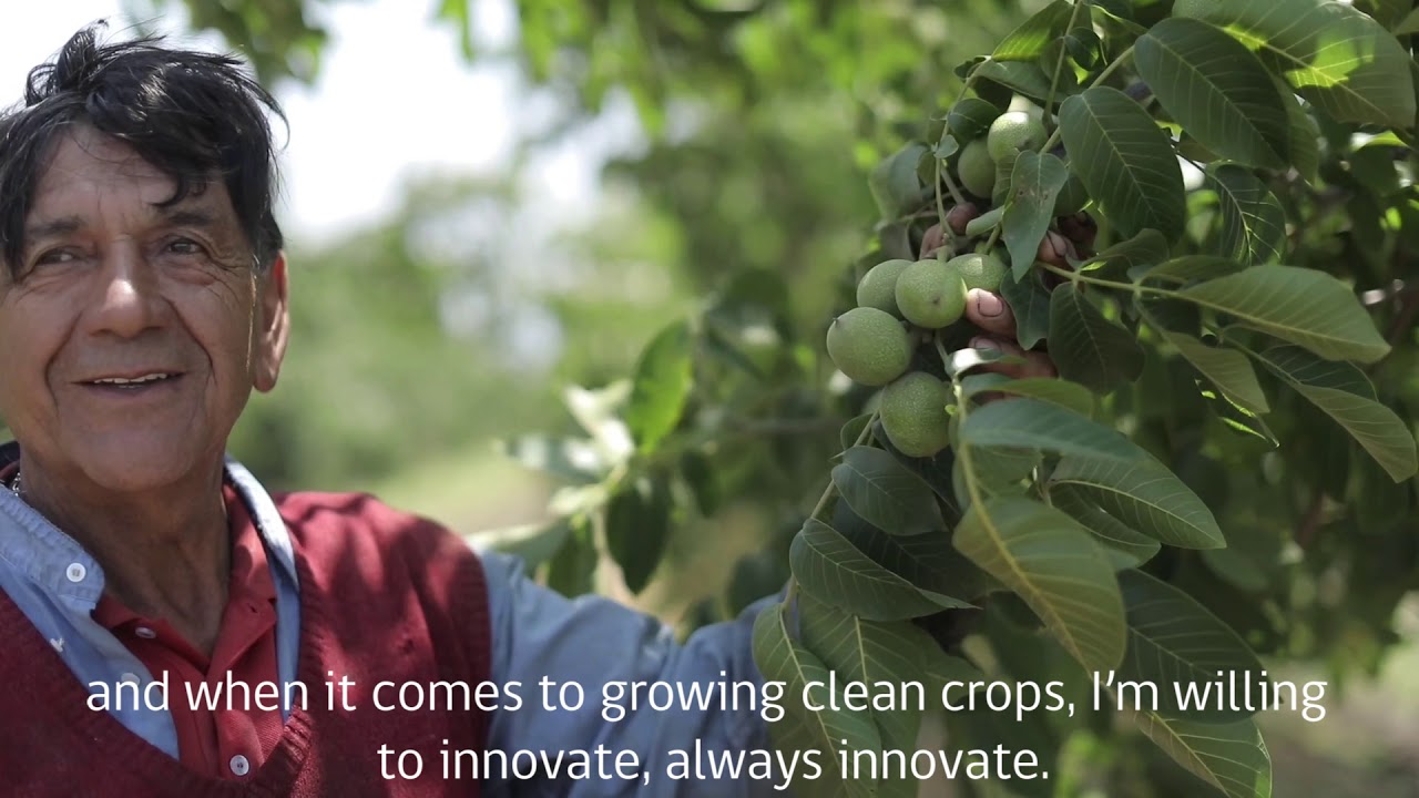 A sustainable agri-food system, that harmonizes with nature and the landscape, keeping ecosystems in balance and enhancing the local economy