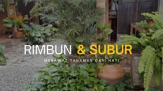 Tanaman Rimbun Dan Subur