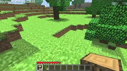 Minecraft Series: Episode 1 (Intro,Basics and SeaNanners)