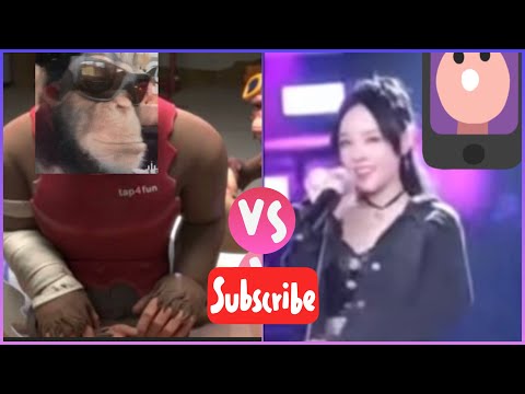 Chinese Monkeys singing 🙈| Monkeys VS Chinese Girl part 2