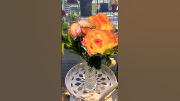 “DIY Tissue Paper Roses That Look Totally Real! 🌸💫”