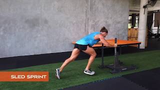 Sled Sprint | Prowler Sprint | Sled Exercises