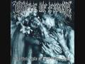 OF MIST AND MIDNIGHT SKIES WITH LYRICS CRADLE OF FILTH