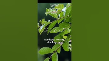 سورة الكافرون القارئ اسلام صبحي