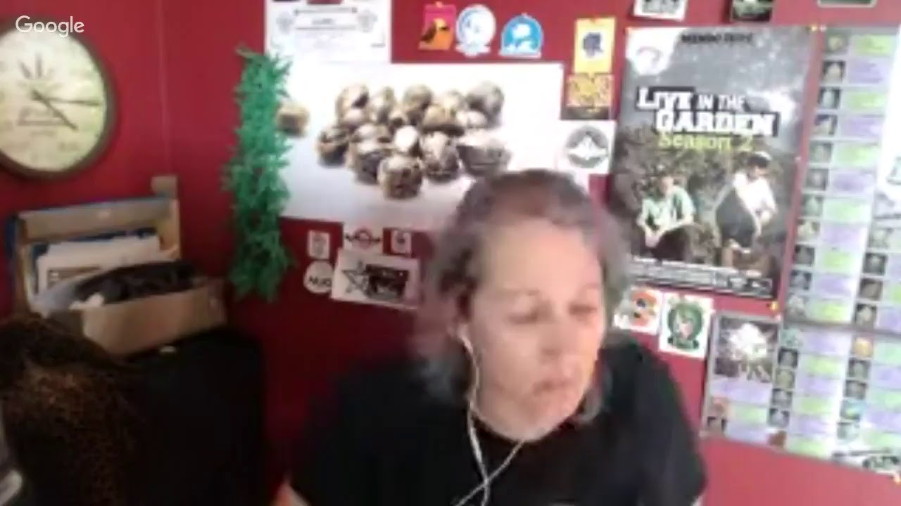 dab & Gab episode 19