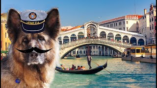 Se psem v Benátkách, obří vodopád | ROADTRIP Itoška s Rubby 3
