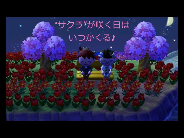 サクラ咲け嵐