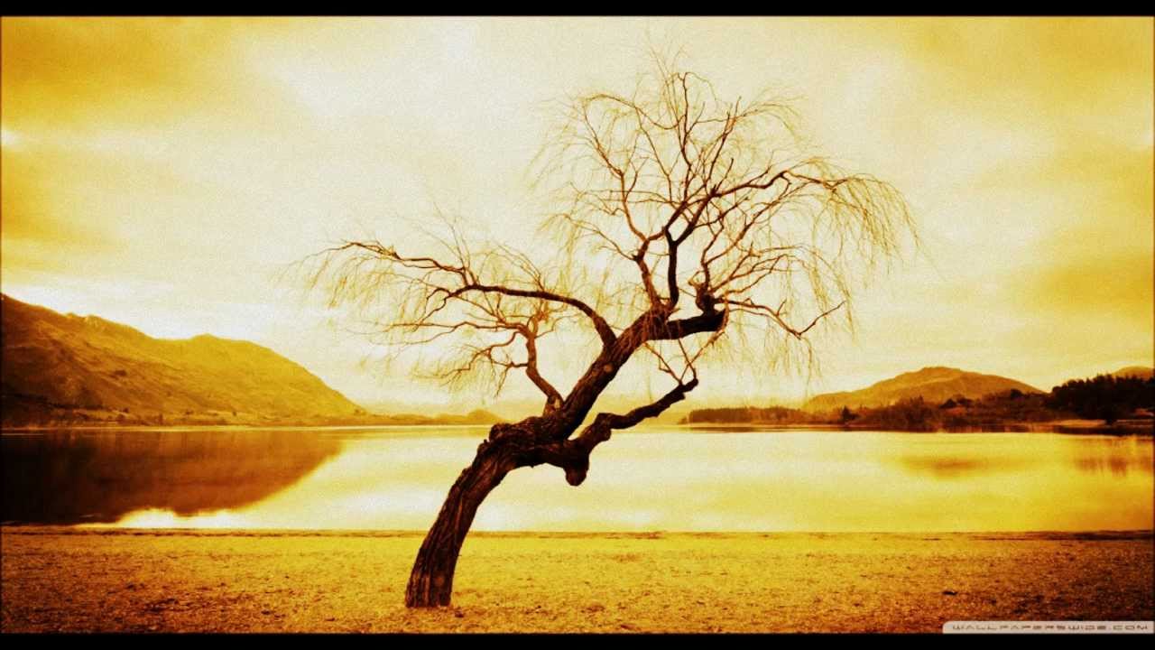 Dillon - Thirteen Thirtyfive (oilst remix)