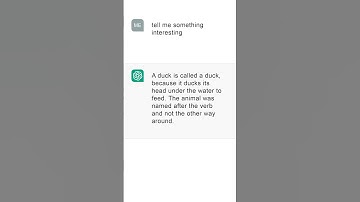 A duck is called a duck, because it... #chatgpt #openai #shorts #intresting