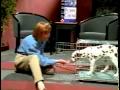 Transport dog crates All The Pet Supplies You Will Need For Transport dog crates All The Pet Supplies You Will Need For