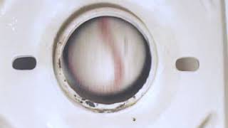 Caroma Washdown Technology vs Siphonic Toilet Systems