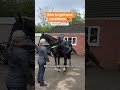Brazilian magic in front of your eyes #horserace #horseracing #videos #jockey