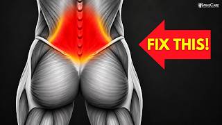 Full Lower Back Pain Do THIS for 30 Seconds Guide