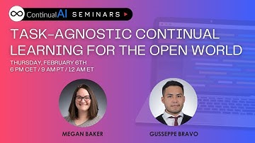 Task-Agnostic Continual Learning for the Open World | ContinualAI Seminar