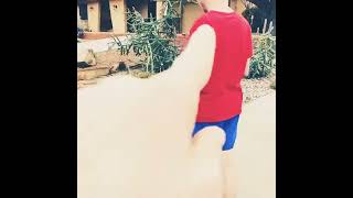Like 💖and 😍subscribe/❤️walking with my cutest puppy’s with 💝my boyfriend  🧡the 💪guy