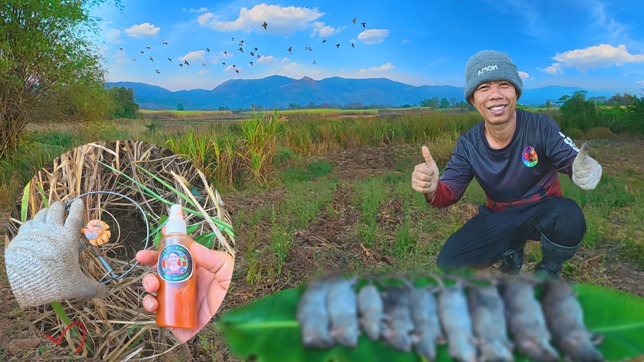 ซ้ำหมายเก่า ป่าอ้อยป่าหญ้าขน ต้องดักแบบนี้ ถึงจะได้ตัว ยังหมานอยู่