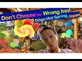 ♨️Don't Choose the Wrong Inn -- Dōgo Hot Spring Japan！ぴったりの宿探し--道後温泉編！