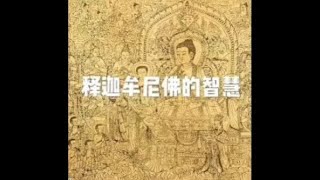 201605 释迦牟尼佛的智慧21035