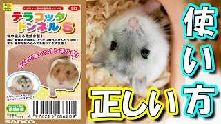 【ハムスター】夏はヒンヤリ！冬はポカポカ！素敵なトンネル【かわいい/飼い方/癒し】