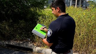 Weeds In McAllen: Take Action & Prevent Citations