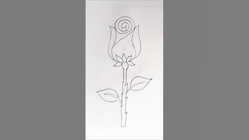 How To Draw Rose In A Easy Method🌹🌹#art#drawing#viral#trending#subscribe#support#rose#views#video#yt