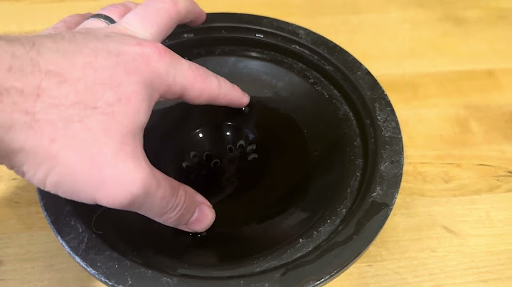 No Spill Water Bowl Review: Can It Really Stop Messy Drinkers?