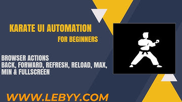 Karate UI Automation  || BROWSER ACTIONS : BACK, FORWARD, REFRESH, RELOAD, MAX, MIN & FULLSCREE
