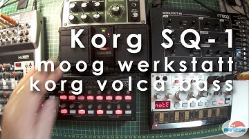 Korg SQ-1 quick look and noodle