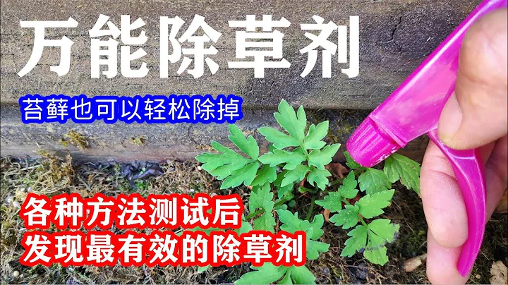 这3样东西组合成最有效的除草剂：如何消除苔藓和杂草，从此变得很简单 / Best homemade herbicide【种菜养花】 - 天天要闻