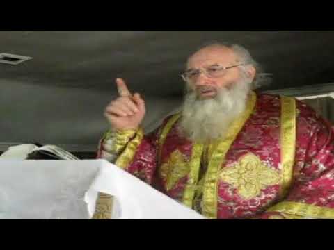 უცხოტომელების შემოსვლაზე