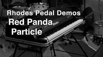 Rhodes Pedal Demos - Red Panda Particle