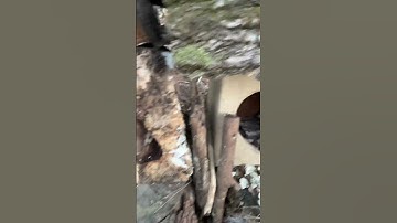 Betoverende herfst #fallintoshorts