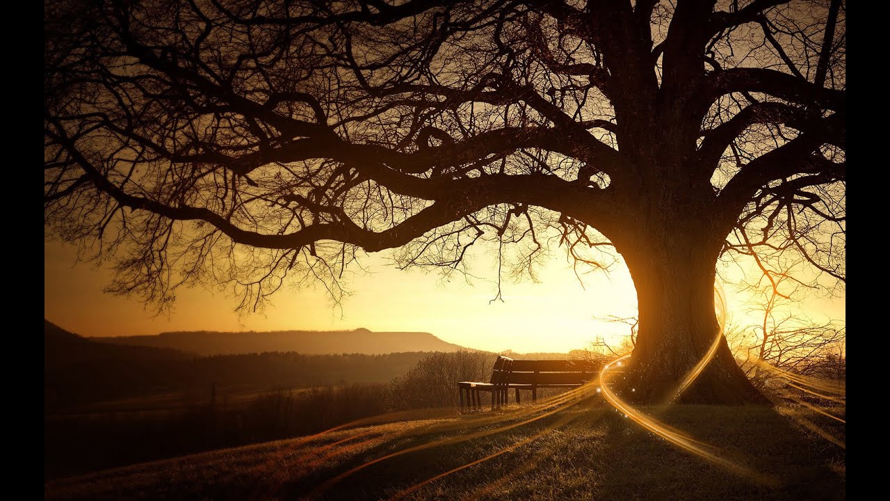 ابن العثيمين/حديث احفظ الله يحفظك احفظ الله تجده تجاهك إذا سألت فاسأل الله  وإذا استعنت فاستعن بالله