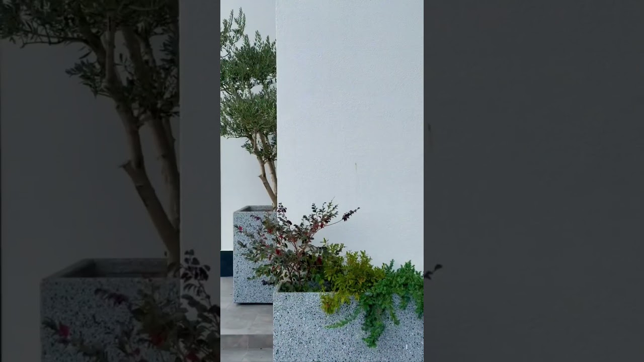 80 000 000 рублей ! Дом в Адлере !