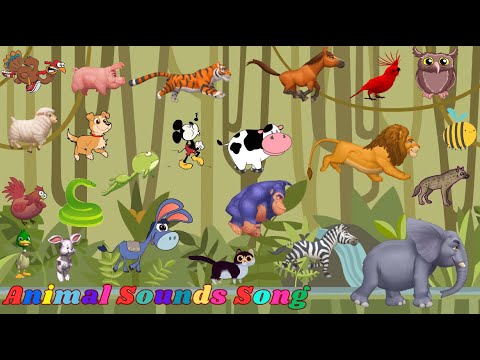 Animal Sounds Song
