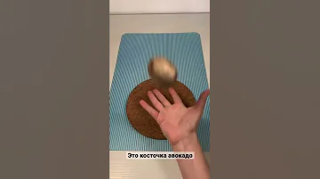 Косточка авокадо #shorts #авокадо #avocado #косточка