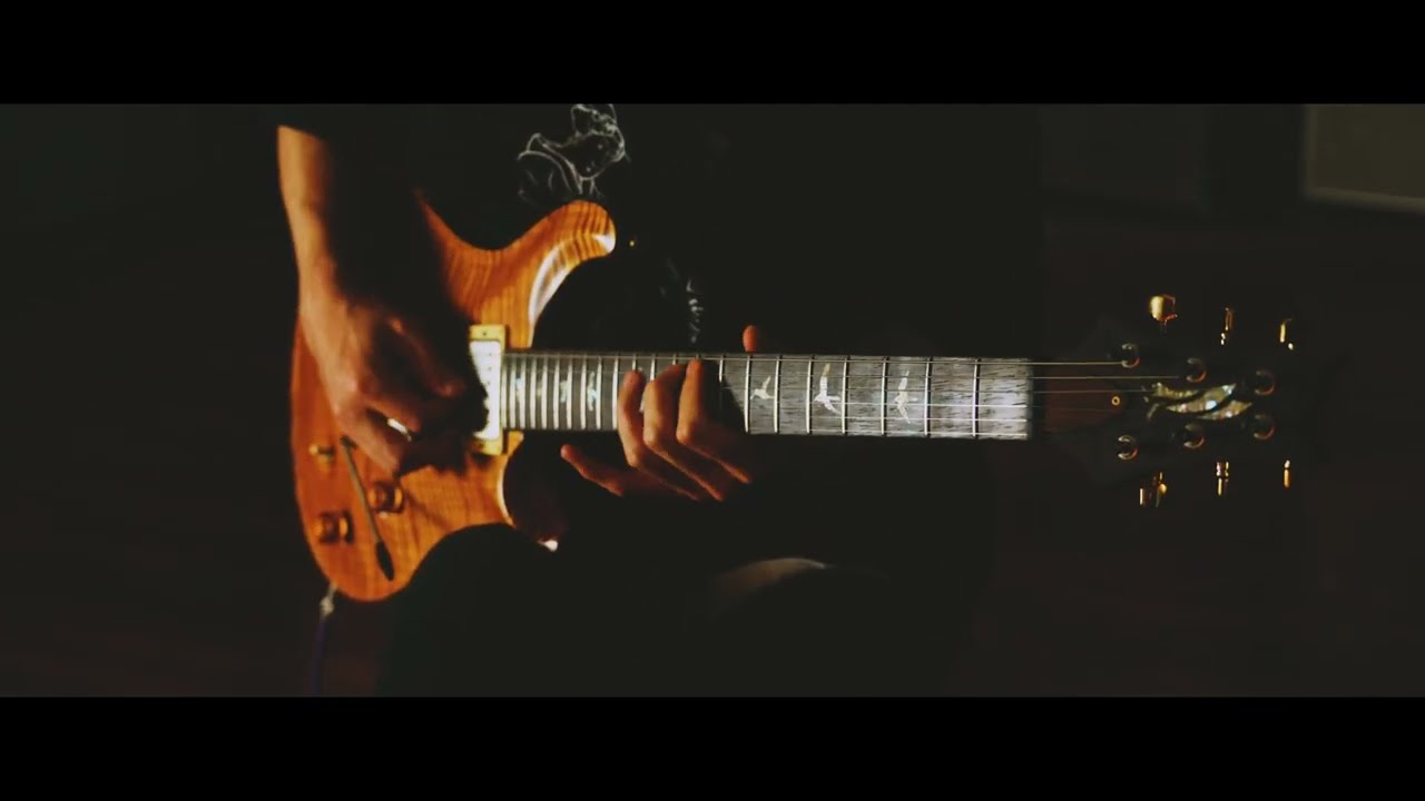 Paul Reed Smith Modern Eagle I Trem McCarty Amber Brazilian Rosewood Neck&FB 2009