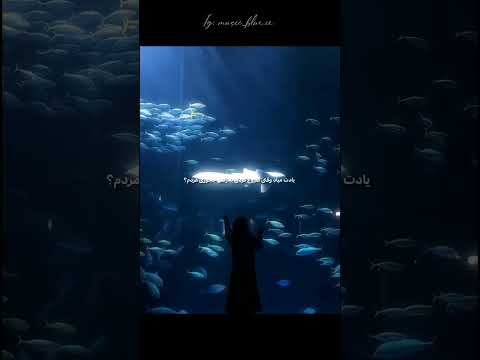 ترند چند روزه ی تیک تاک