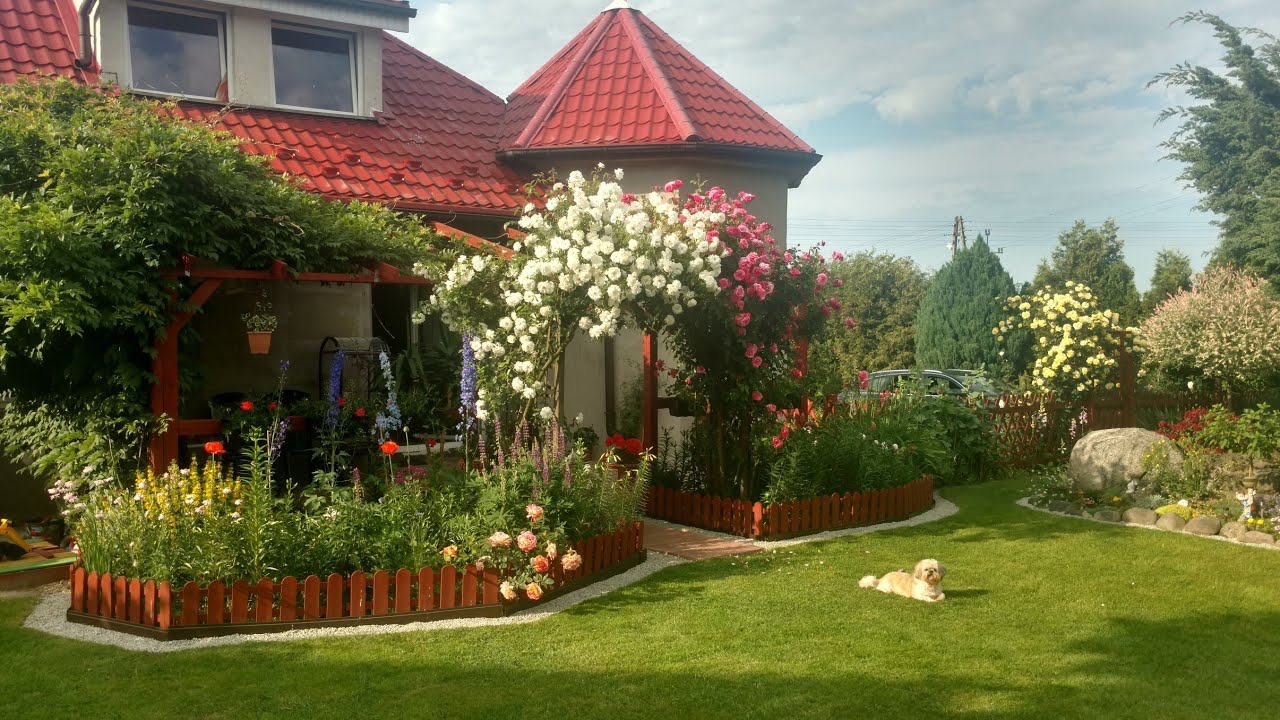 Jak wyglądał mój ogród przed budową oczek wodnych 10.06.2019 r. Oczko zaczęłam kopać w lipcu.