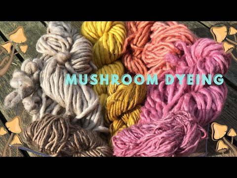 Lessons from the Forest: Natural Dyeing with Mushrooms