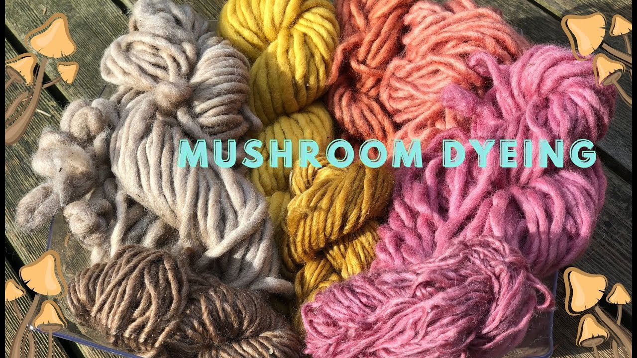 Natural Dyeing with Mushrooms ⁠@WildcraftDyeing - YouTube