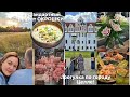 Рецепт окрошки 🍴, который удивит! Уютный городок Celle 🏰 и ужин в азиатском стиле🍜/ заказ с KoRo