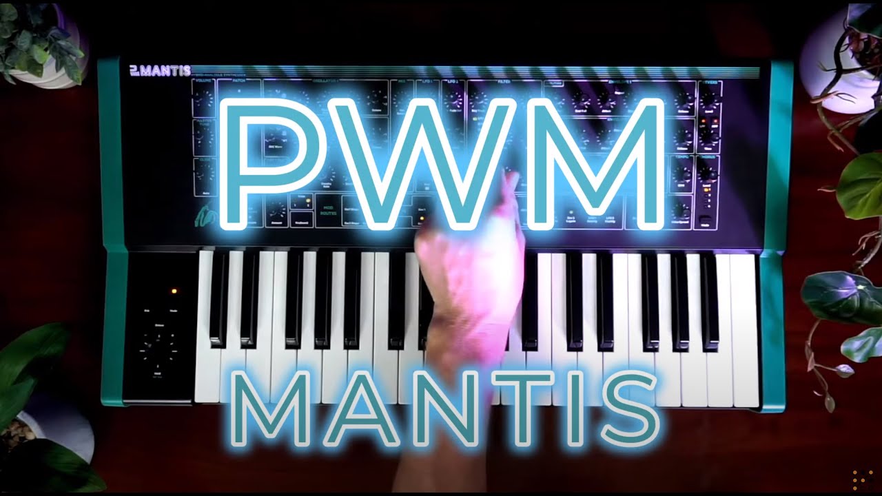 PWM Mantis Hybrid-analog Duophonic Synthesizer | Sweetwater