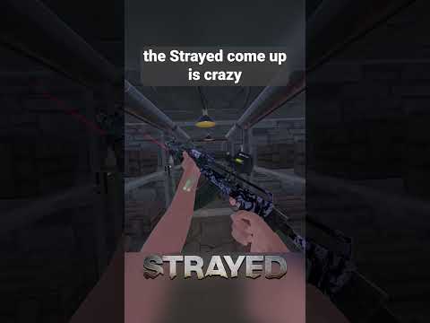 The Strayed Come Up Is Crazy