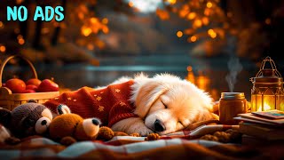 15 HOURS of Blissful Music For Dogs🐕💖Anti Loneliness Relief Music🐶🎵Sacred Pet Healing screenshot 5