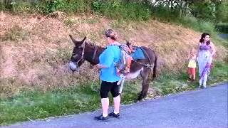 8 En Marche, Copie Internet Mov