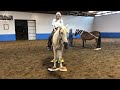 Chance gets his sway on while standing on sure foot equine pads