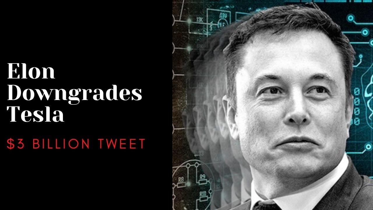 Elon Downgrades Tesla - Stock Picking 2020 Challenge