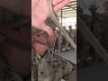 OPERATION PANTHER STORM! Elite Troops Launch High Intensity Military Drill 🇺🇸