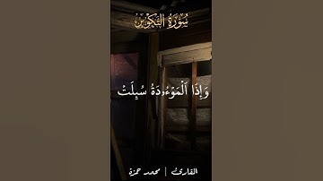 #قران_كريم #اكسبلور #quran #لايك #ترند #محمد_حمزة #تلاوة_خاشعة